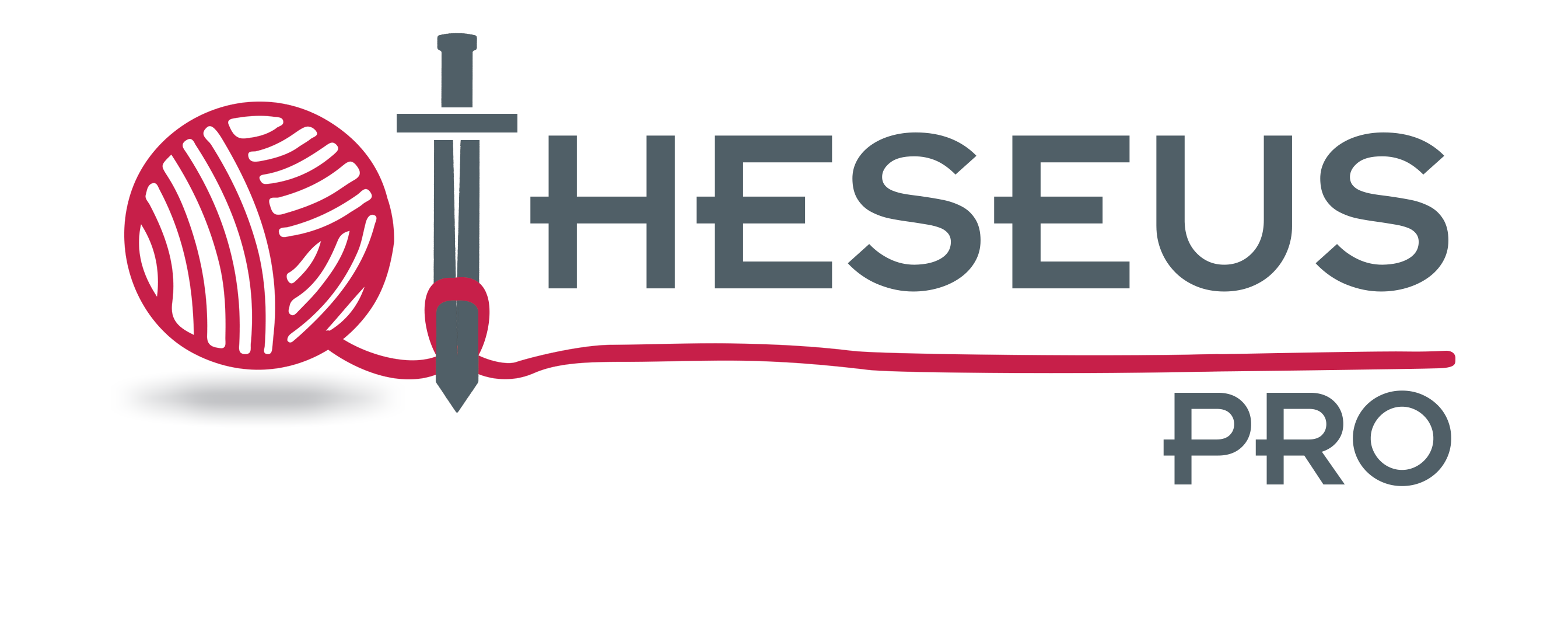 Theseus Pro